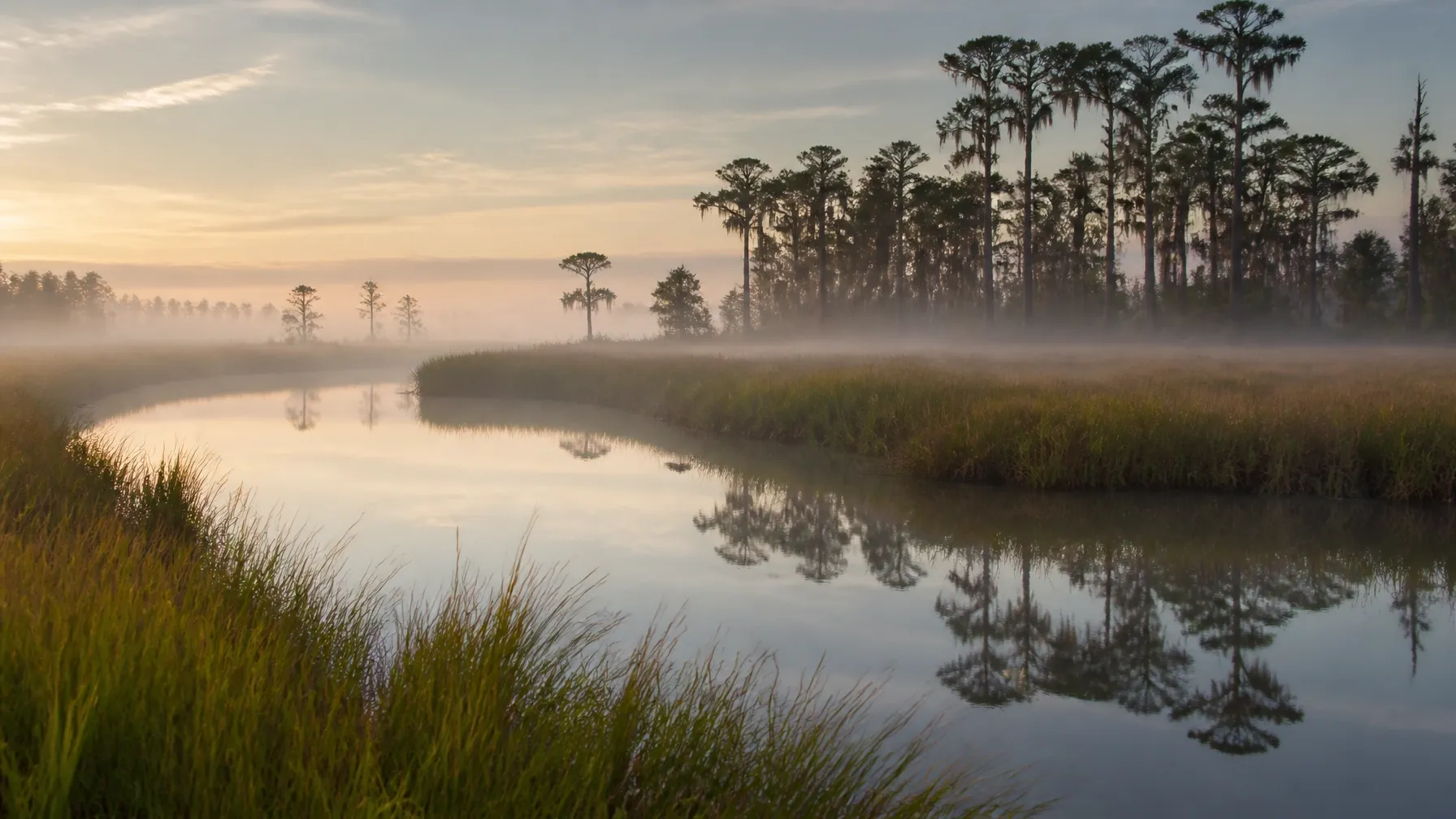 Florida wetland and tidal creek at morning light